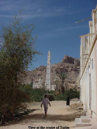 View at the centre of Tarim
